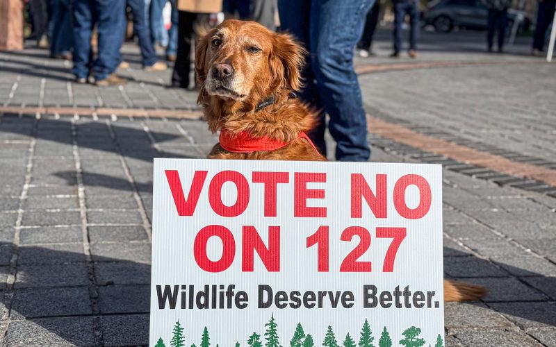 Haystack-Help-Radio-Show-Host-Scott-Whatley-on-560-AM-KLZ-Vote-NO-on-Colorado-Proposition-127